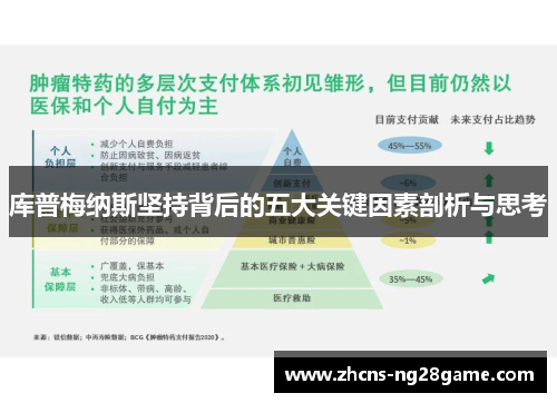 库普梅纳斯坚持背后的五大关键因素剖析与思考