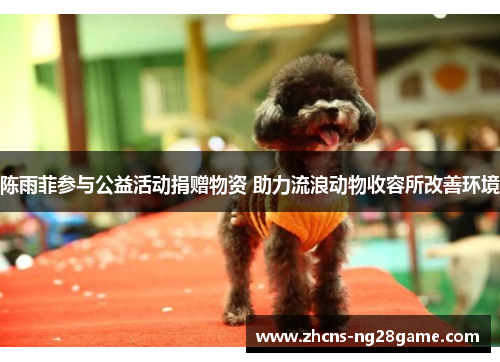 陈雨菲参与公益活动捐赠物资 助力流浪动物收容所改善环境